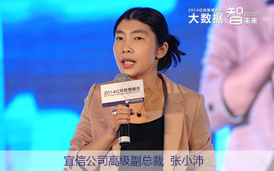 宜信公司高級(jí)副總裁張小沛